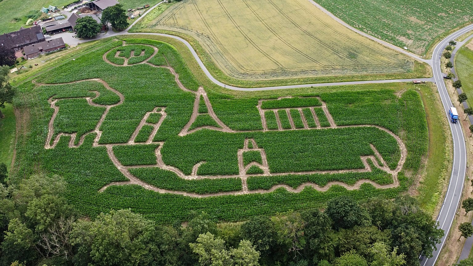 Maisfeld-Kunst: Bauer setzt Zeichen für Europa