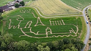 Maisfeld-Kunst: Bauer setzt Zeichen für Europa