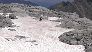 İtalyan Alpleri’nde pembe kar şaşkınlığı