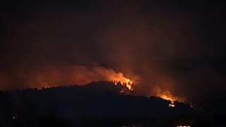 Çanakkale'nin Gelibolu ilçesinde çıkan orman yangını söndürme çalışmaları sürüyor