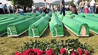 Bosna-Hersek 