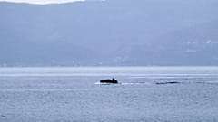 Greece migrants - file photo