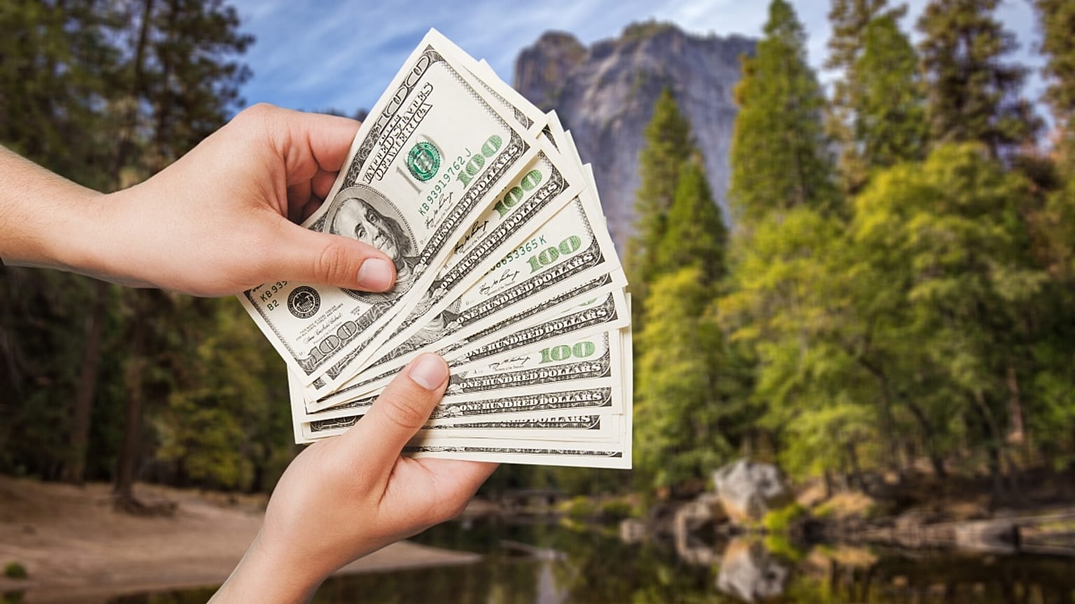 Environmental conservation pays.