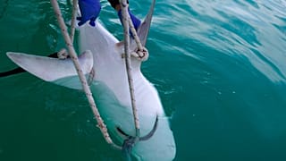 Fotografia ilustrativa captada em 2019 na costa mediterrânica de Israel