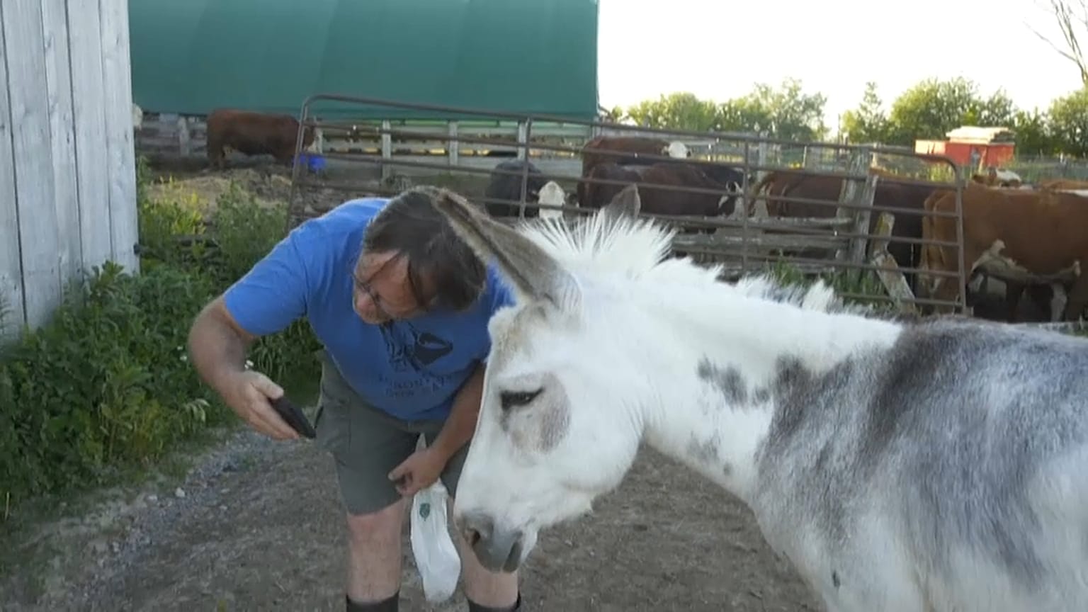 Extracted from video