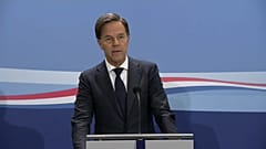 Niederlande verklagen Russland wegen Abschuss von Flug MH17 
