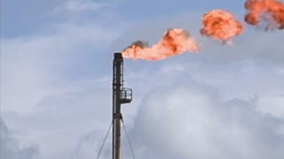 Caída del petróleo ante al reunión de la OPEP