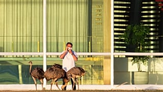 رئيس البرازيل: لم أعد احتمل روتين البقاء في المنزل وسأخضع لفحص كورونا جديد