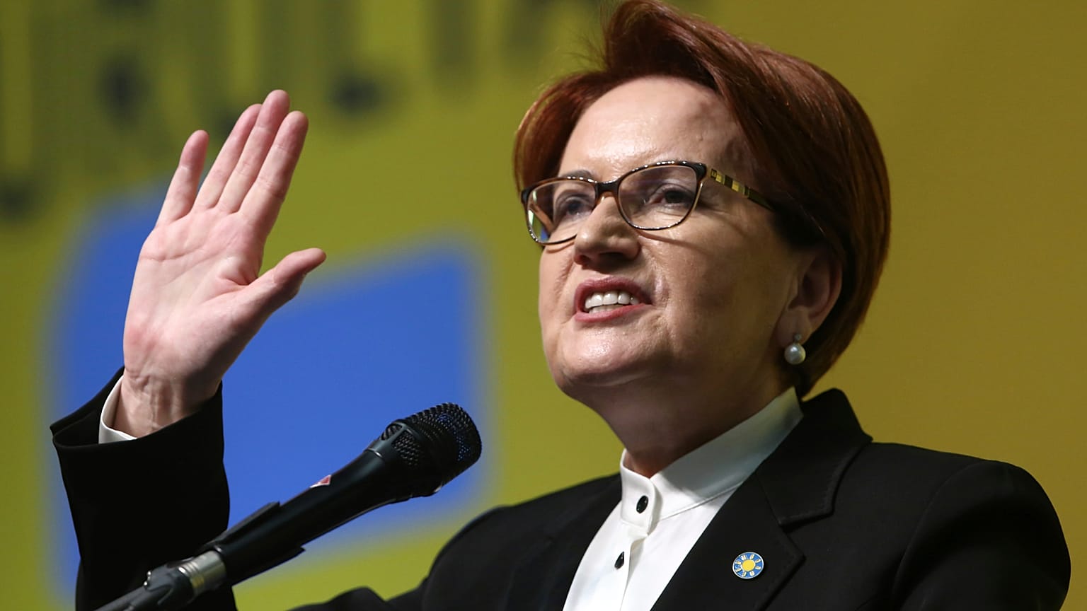 İYİ Parti Genel Başkanı Meral Akşener