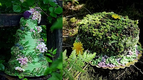 These vegan cakes reflect the aesthetic of Yorkshire's valleys.