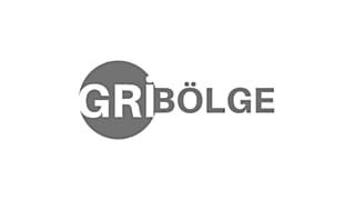Gri Bölge