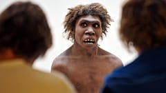 Neandertaler, Archivbild