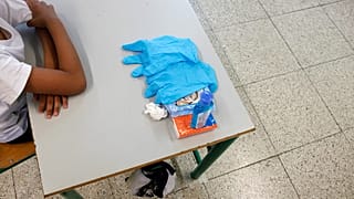 Cyprus virus