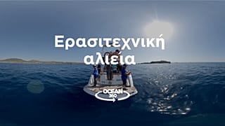 Ocean