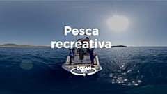Ocean