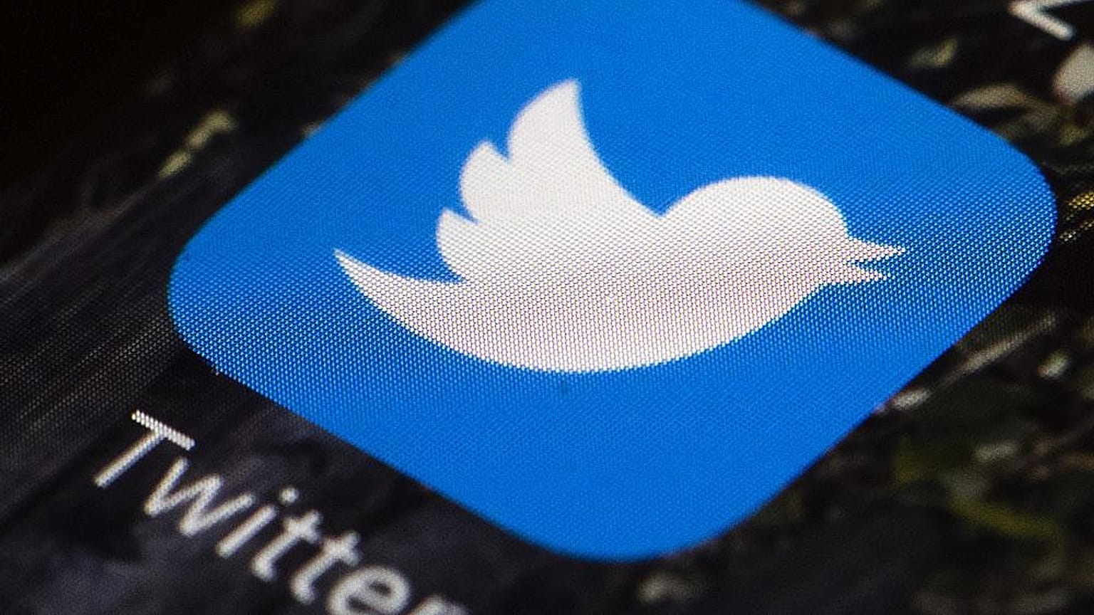 Twitter logo