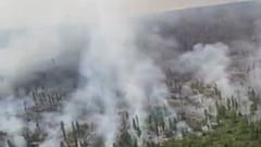 В России бушуют природные пожары