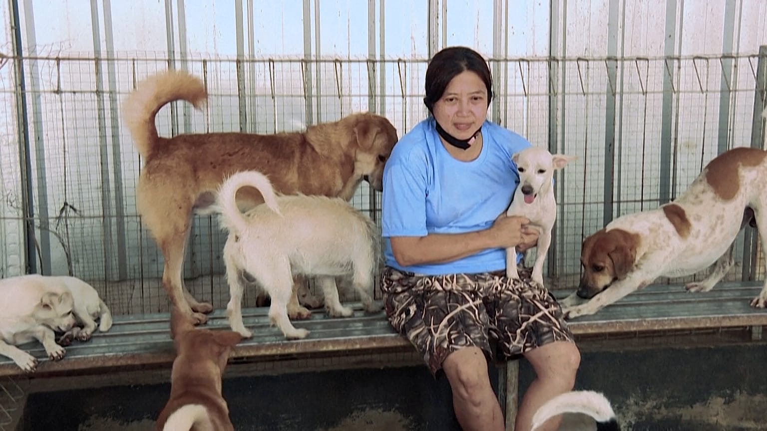 Endonezya köpek barınağı