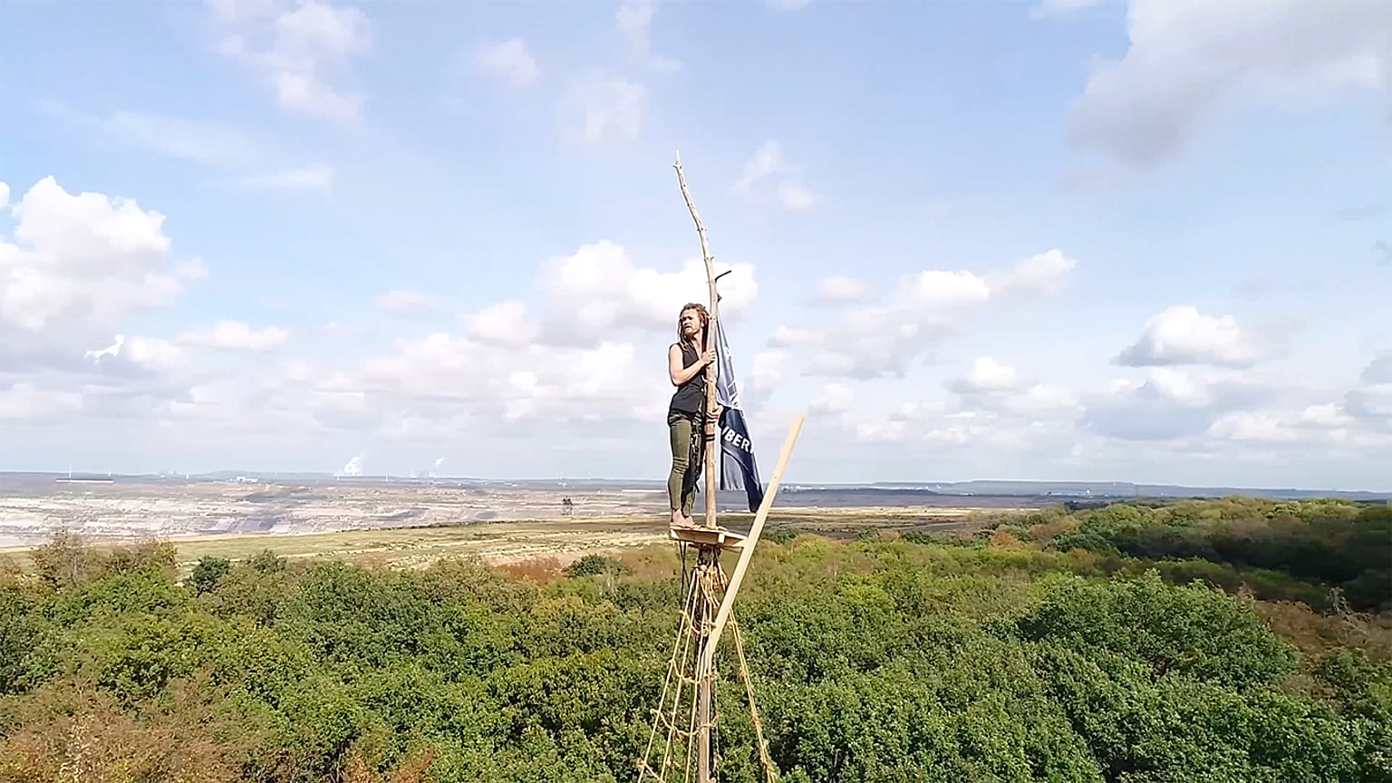 The activists occupy ancient forests to stop coal mining companies from cutting down the trees. 