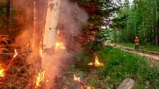 Des pompiers sur le site d'un incendie près de Iakoutsk en Russie le 15 juillet 2020