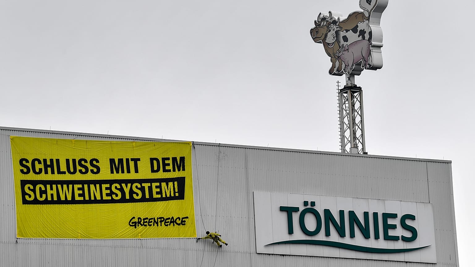 "Schweinesystem" mit 8.000 Schlachtungen: Greenpeace steigt Tönnies aufs Dach