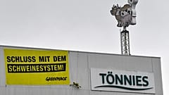"Schweinesystem" mit 8.000 Schlachtungen: Greenpeace steigt Tönnies aufs Dach