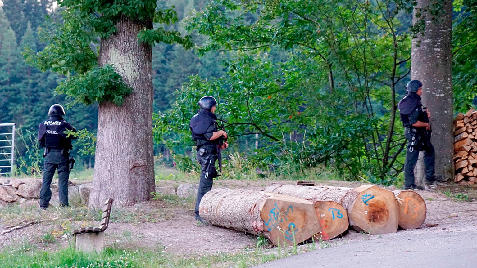 Mit Beil und Waffen: 31-Jähriger im Schwarzwald gefasst