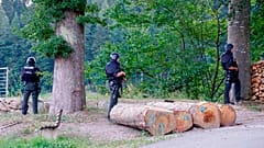 Mit Beil und Waffen: 31-Jähriger im Schwarzwald gefasst