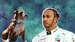 Lewis Hamilton's dog Roscoe is on an entirely vegan diet.