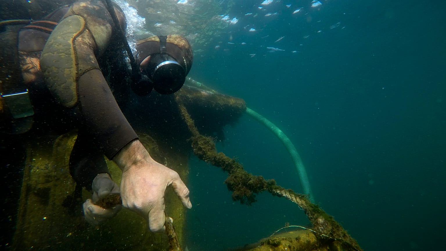 A diver pulls a shipwreck's rope during a raising operation, on Salamina island, west of Athens, on Wednesday, Feb. 13, 2020.