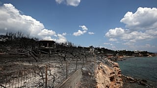 Горькая память Мати 