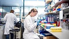 1000 Freiwillige testen Coronavirus-Impfstoff