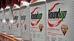 Roundup tarım ilacı