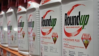 Roundup tarım ilacı