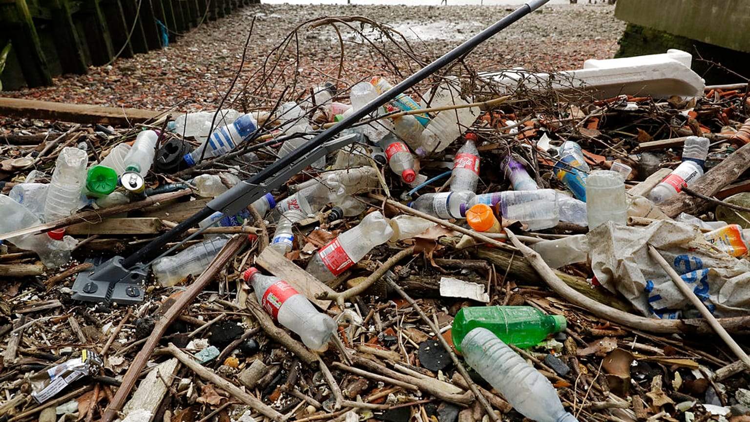 Sinkevičius: "Pandemia ajuda a perceber crise ambiental"