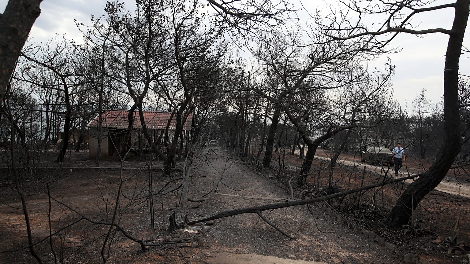 Burnt houses and trees are seen following a wildfire in Mati, east of Athens