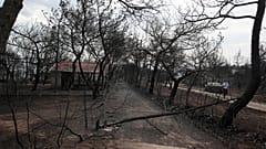 Burnt houses and trees are seen following a wildfire in Mati, east of Athens