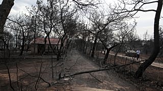 Burnt houses and trees are seen following a wildfire in Mati, east of Athens