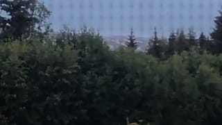 Huge traffic backlogs could be seen in Homer as people tried to evacuate