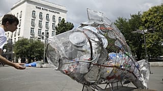 Greenpeace