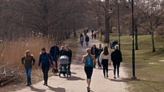 Járvány: gellert kaphat a svéd modell