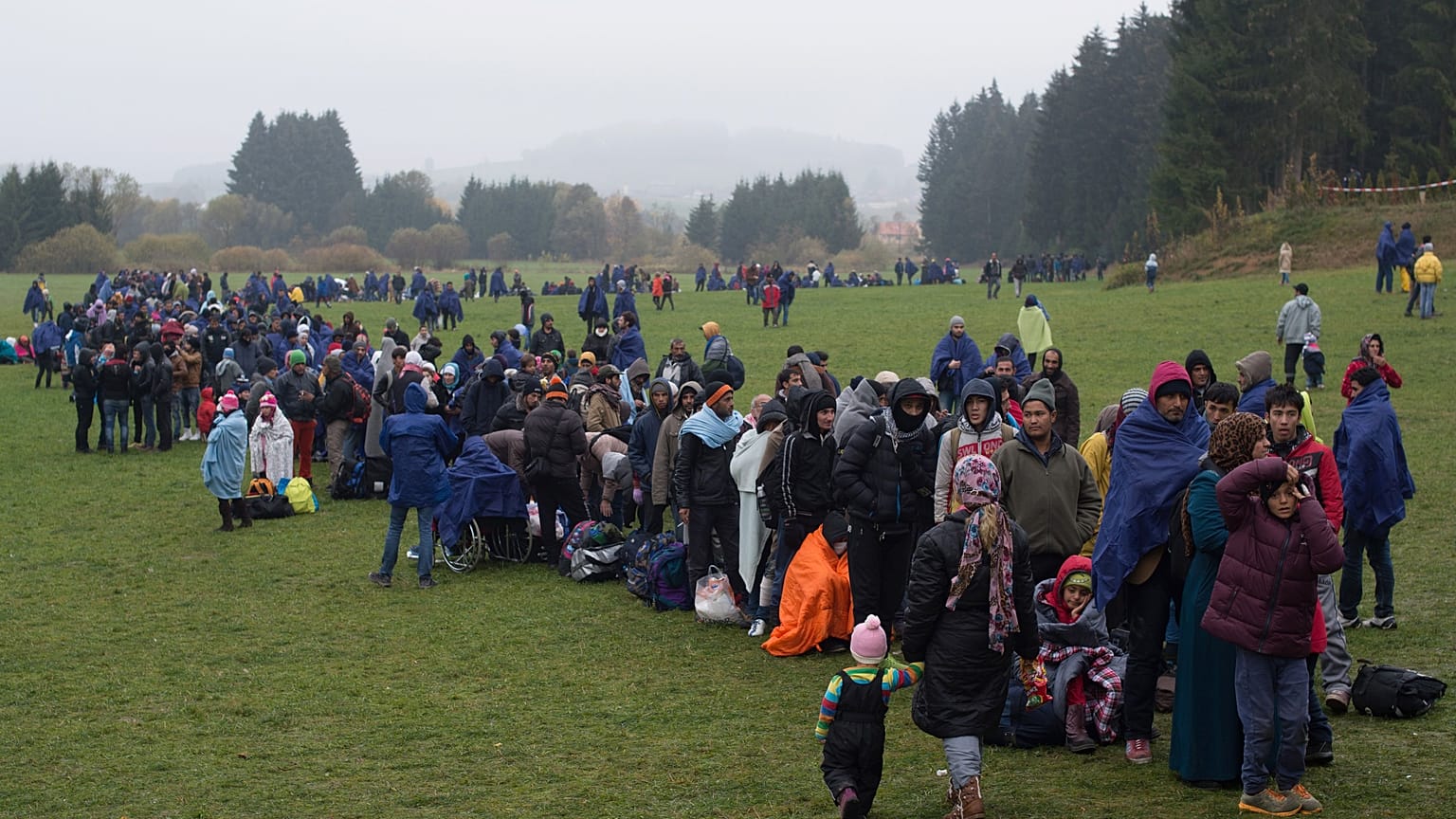 Una foto del 2015, l'anno della grande crisi immigratoria, al confine tra Austria e Germania. 