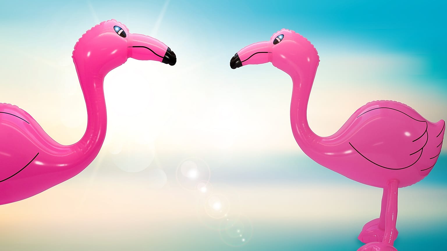 Theives in Jura were easy to indentify due to the inflatable flamingo they had purchased with a stolen credit card.