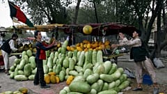 Afganistan'ın başkenti Kabil'de kavun, karpuz satan sokak satıcıları (arşiv) 