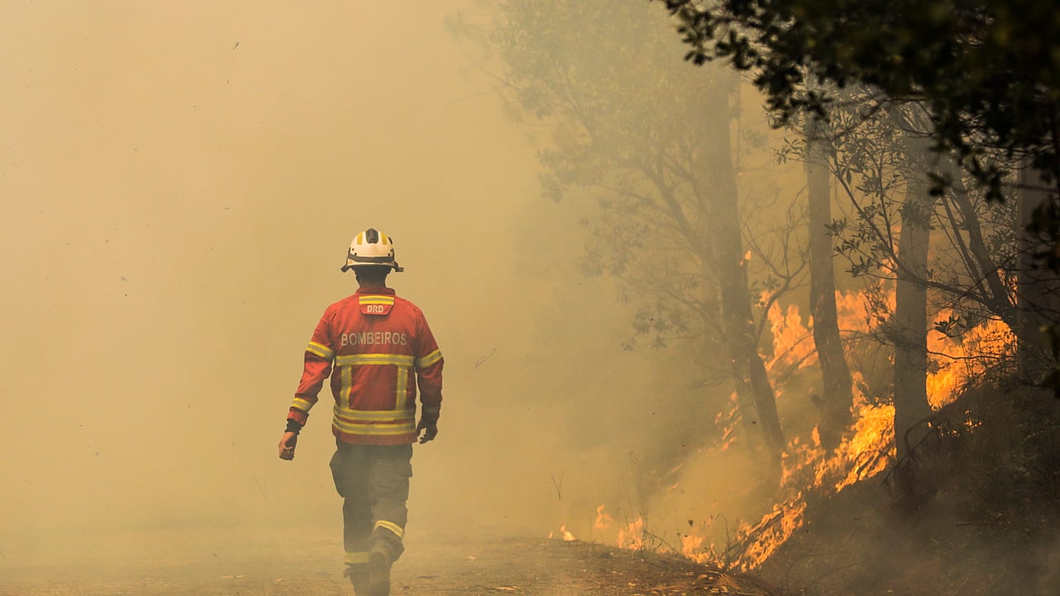 Bombeiro durante o incêndio na Sertã