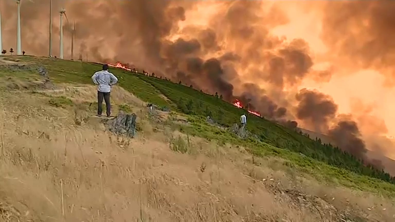 Buschfeuer in Portugal