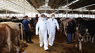 Aksaray'da kurban kesimi hazırlığı