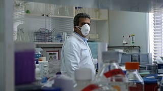 cyprus virus