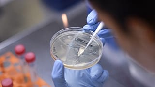 Vacina de Oxford é a mais avançada para vencer Covid-19