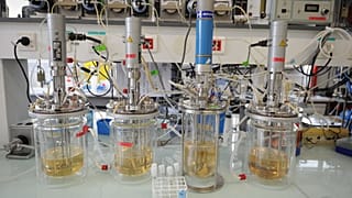 View of elements in the multilevel laboratory of the CAFE project at the INRA